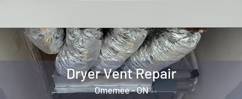  Dryer Vent Repair Omemee - ON