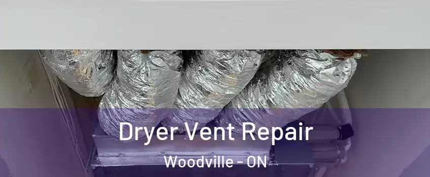  Dryer Vent Repair Woodville - ON