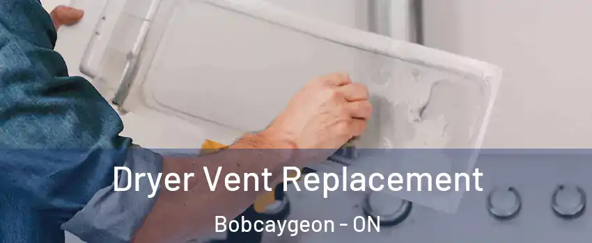  Dryer Vent Replacement Bobcaygeon - ON