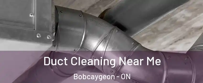  Duct Cleaning Near Me Bobcaygeon - ON