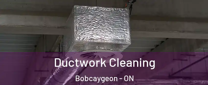  Ductwork Cleaning Bobcaygeon - ON