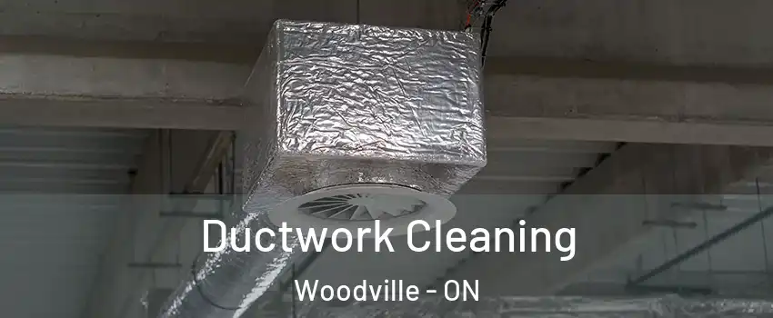  Ductwork Cleaning Woodville - ON