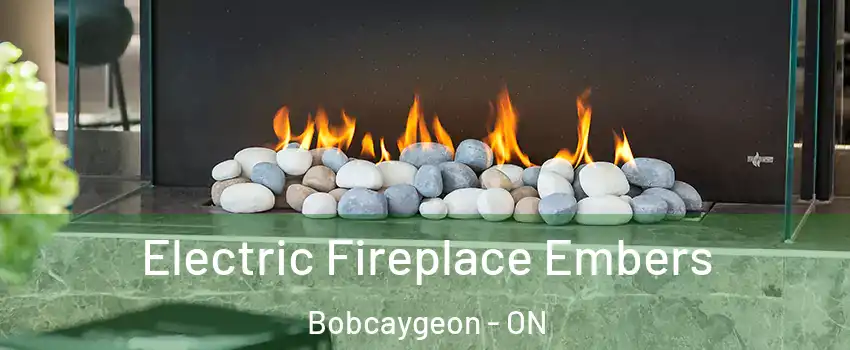  Electric Fireplace Embers Bobcaygeon - ON
