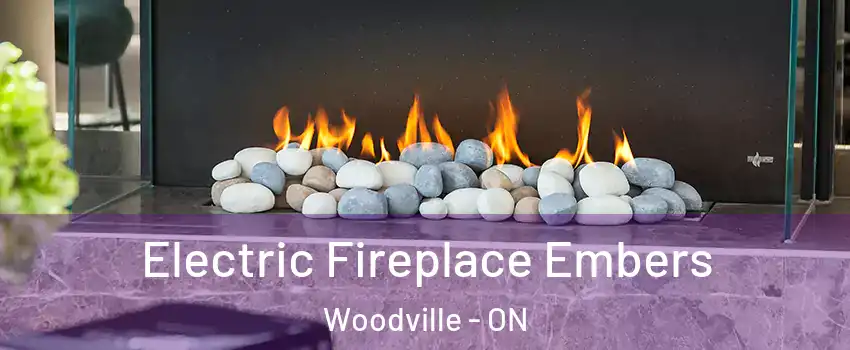  Electric Fireplace Embers Woodville - ON