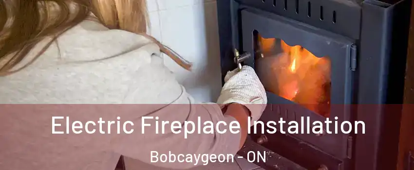  Electric Fireplace Installation Bobcaygeon - ON