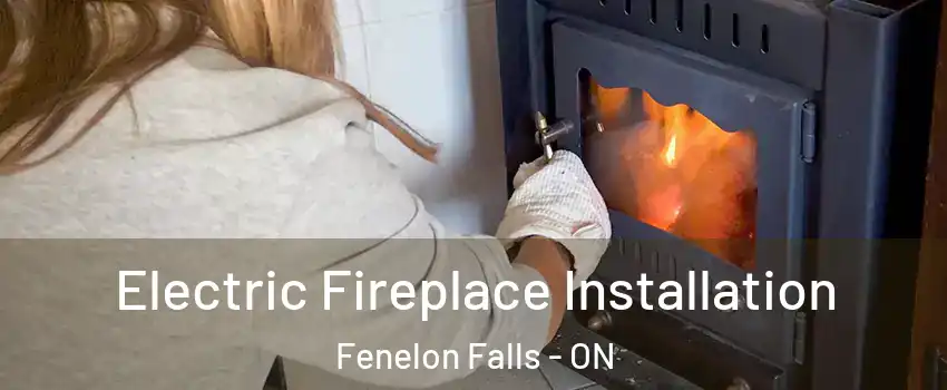  Electric Fireplace Installation Fenelon Falls - ON