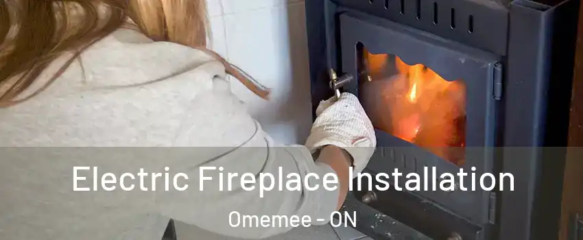  Electric Fireplace Installation Omemee - ON
