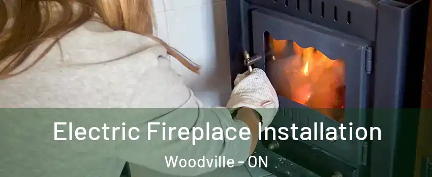  Electric Fireplace Installation Woodville - ON