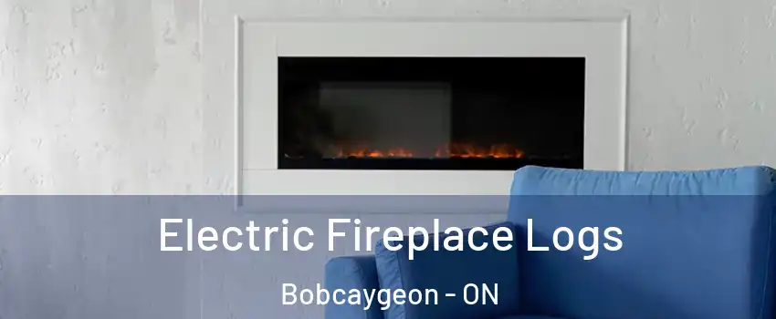  Electric Fireplace Logs Bobcaygeon - ON
