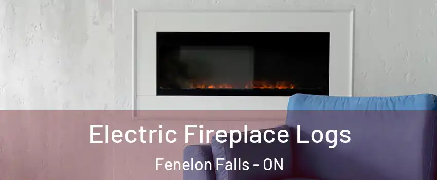 Electric Fireplace Logs Fenelon Falls - ON