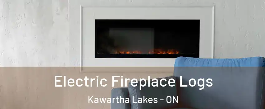  Electric Fireplace Logs Kawartha Lakes - ON