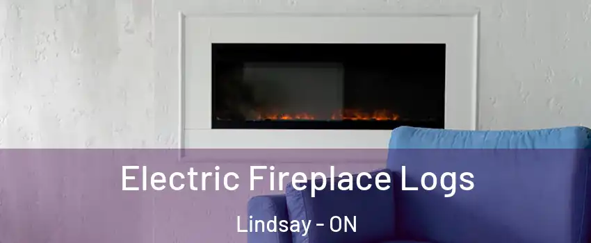  Electric Fireplace Logs Lindsay - ON