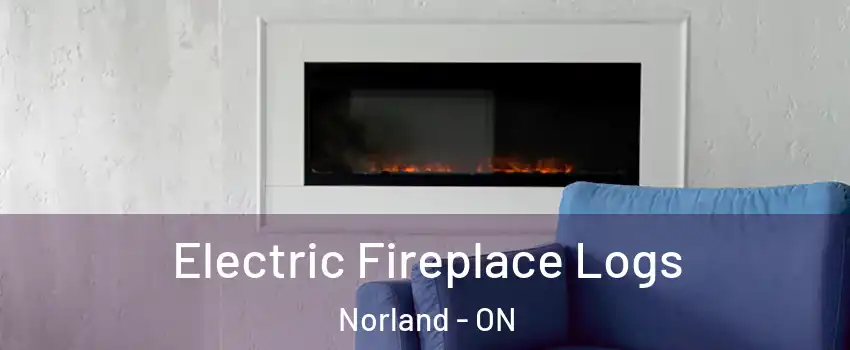  Electric Fireplace Logs Norland - ON