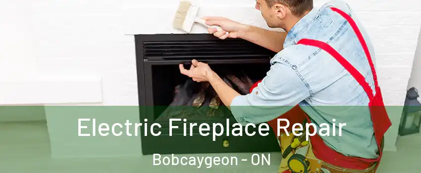  Electric Fireplace Repair Bobcaygeon - ON