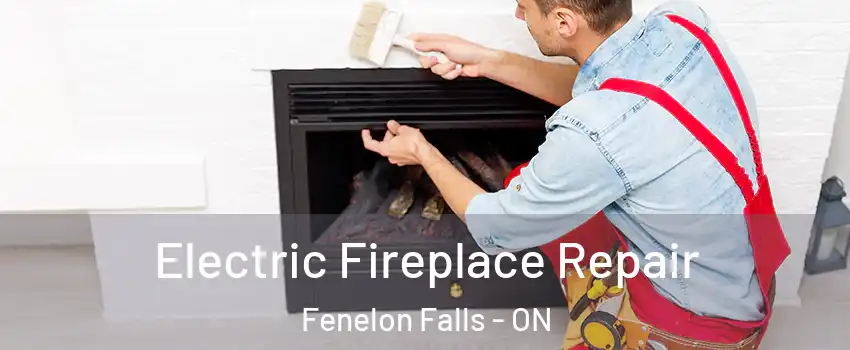  Electric Fireplace Repair Fenelon Falls - ON