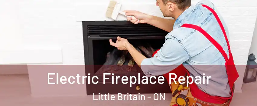  Electric Fireplace Repair Little Britain - ON