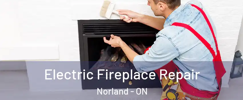  Electric Fireplace Repair Norland - ON