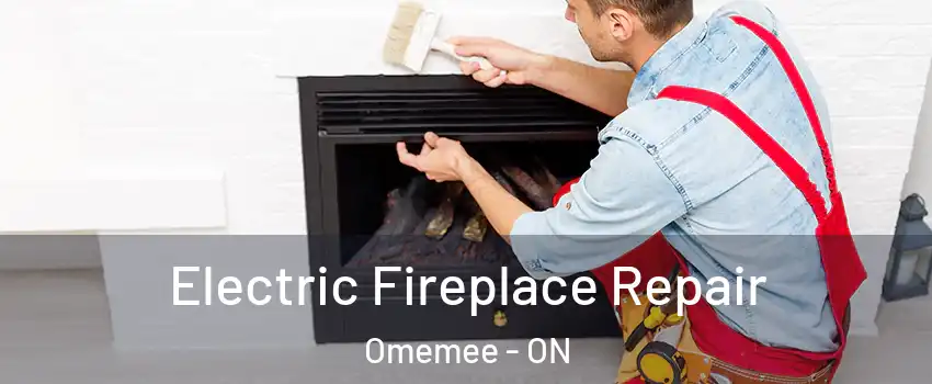  Electric Fireplace Repair Omemee - ON