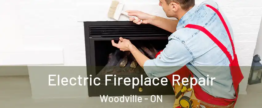  Electric Fireplace Repair Woodville - ON