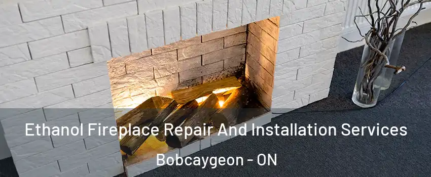  Ethanol Fireplace Repair And Installation Services Bobcaygeon - ON
