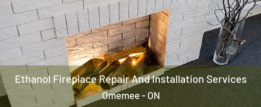  Ethanol Fireplace Repair And Installation Services Omemee - ON
