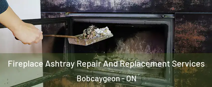  Fireplace Ashtray Repair And Replacement Services Bobcaygeon - ON