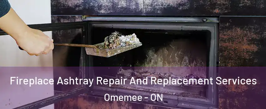  Fireplace Ashtray Repair And Replacement Services Omemee - ON