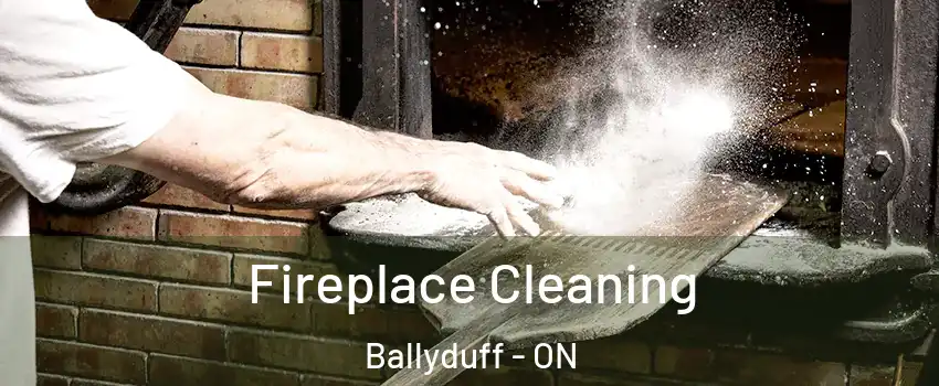 Fireplace Cleaning Ballyduff - ON
