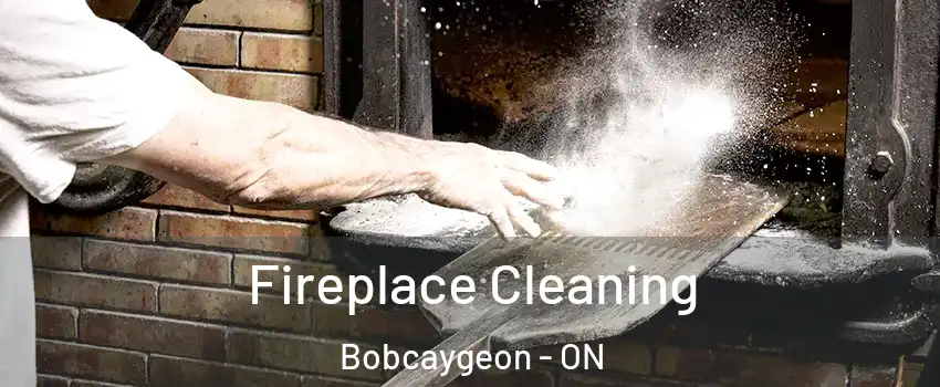  Fireplace Cleaning Bobcaygeon - ON