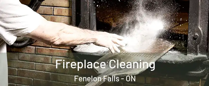  Fireplace Cleaning Fenelon Falls - ON