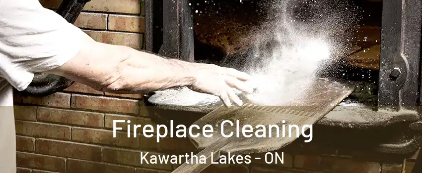  Fireplace Cleaning Kawartha Lakes - ON