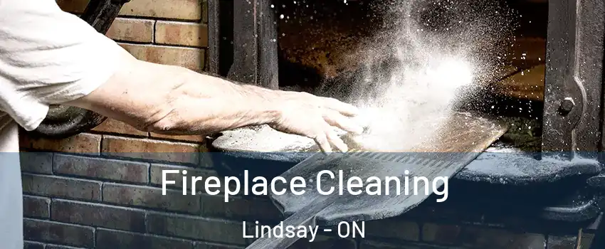  Fireplace Cleaning Lindsay - ON