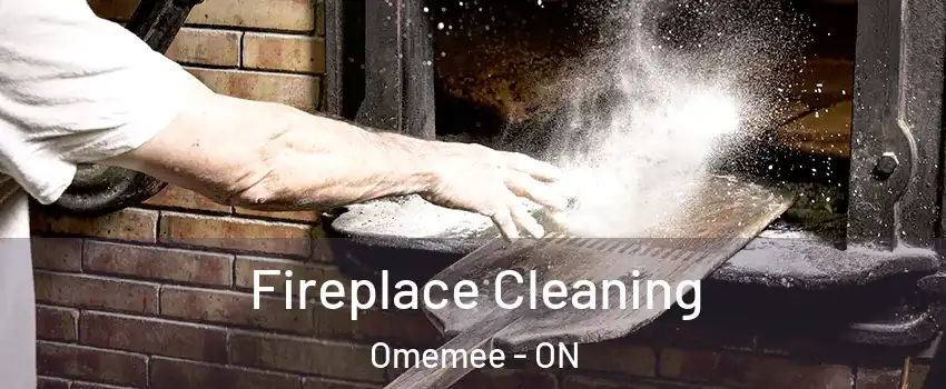 Fireplace Cleaning Omemee - ON