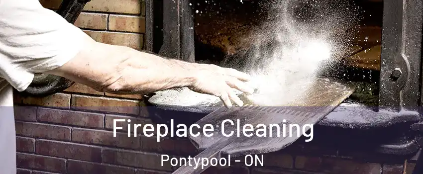  Fireplace Cleaning Pontypool - ON