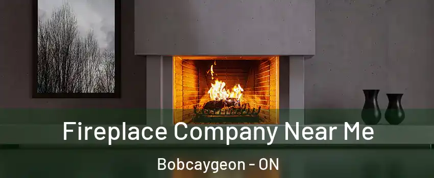 Fireplace Company Near Me Bobcaygeon - ON