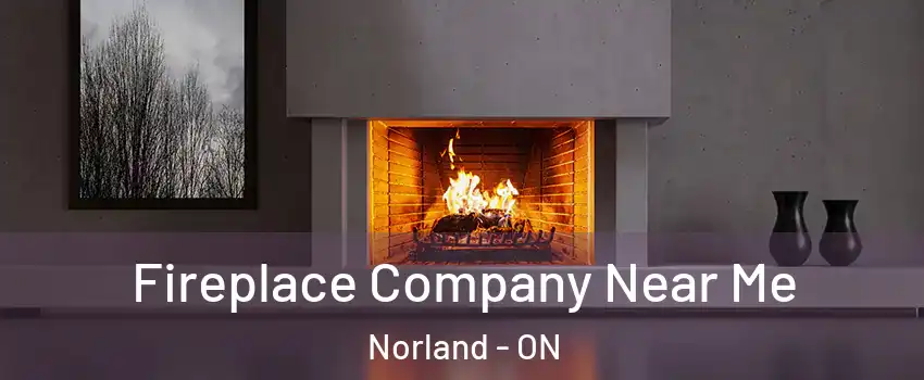  Fireplace Company Near Me Norland - ON