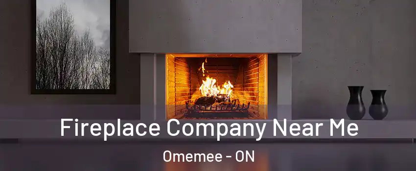  Fireplace Company Near Me Omemee - ON