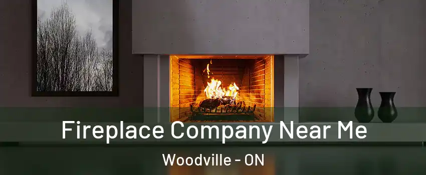  Fireplace Company Near Me Woodville - ON