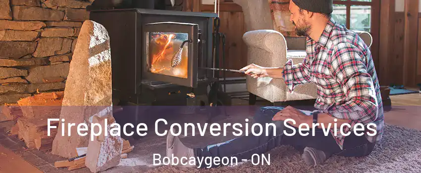  Fireplace Conversion Services Bobcaygeon - ON