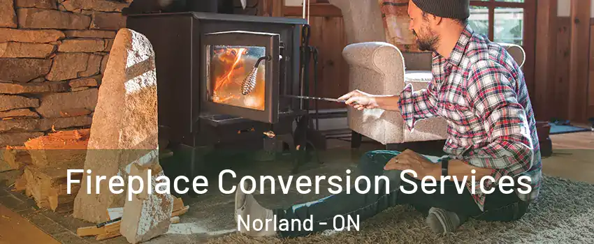  Fireplace Conversion Services Norland - ON