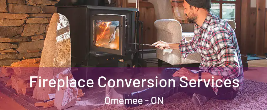  Fireplace Conversion Services Omemee - ON