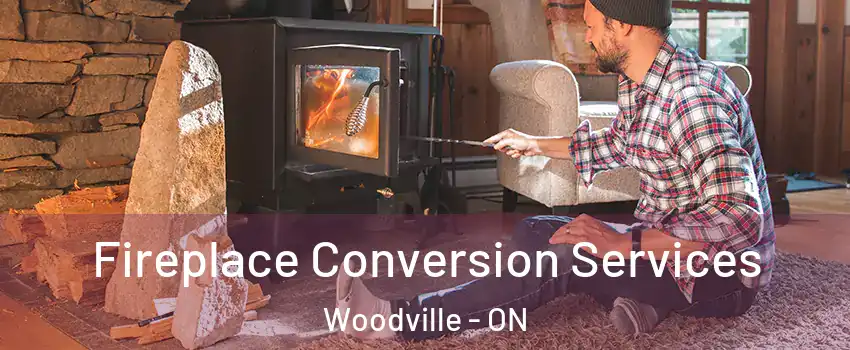  Fireplace Conversion Services Woodville - ON