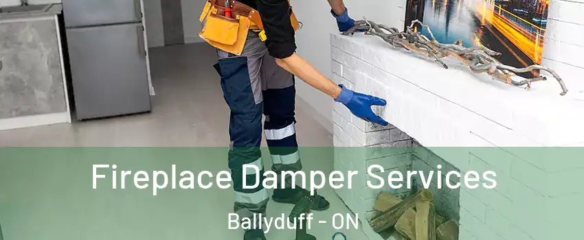  Fireplace Damper Services Ballyduff - ON