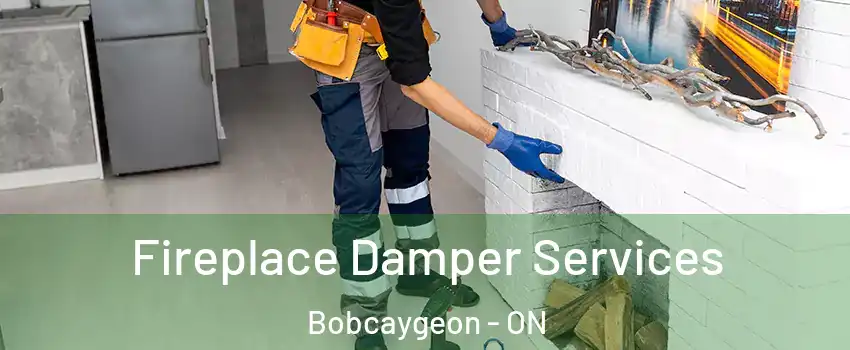  Fireplace Damper Services Bobcaygeon - ON