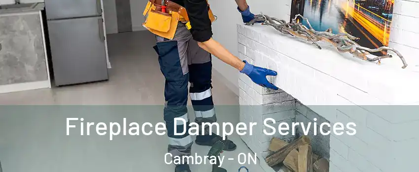  Fireplace Damper Services Cambray - ON