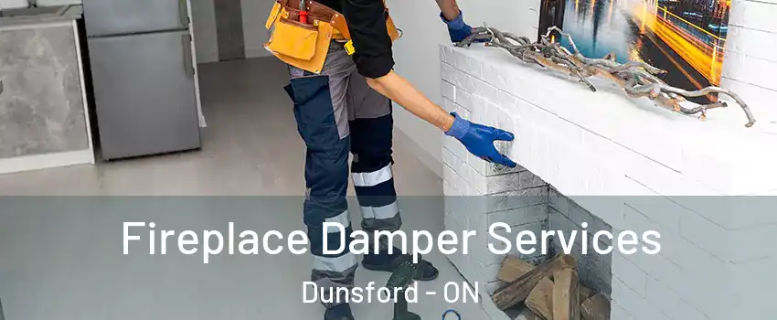  Fireplace Damper Services Dunsford - ON