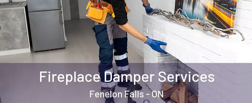  Fireplace Damper Services Fenelon Falls - ON