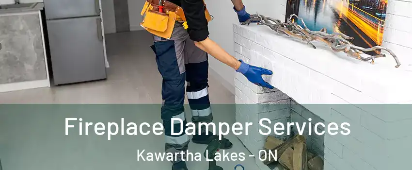 Fireplace Damper Services Kawartha Lakes - ON