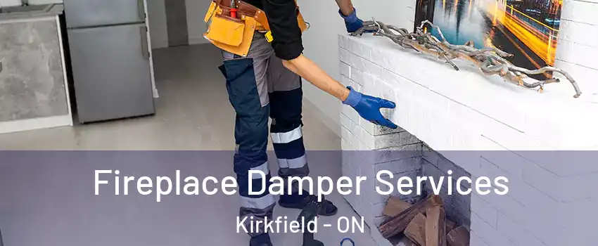  Fireplace Damper Services Kirkfield - ON