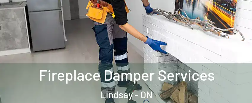  Fireplace Damper Services Lindsay - ON